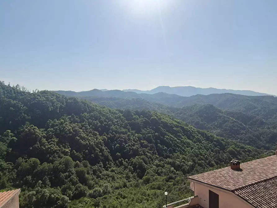 Immagine 13 di Appartamento in vendita  in VIA DEL CANALE 44 a Rocca Santo Stefano