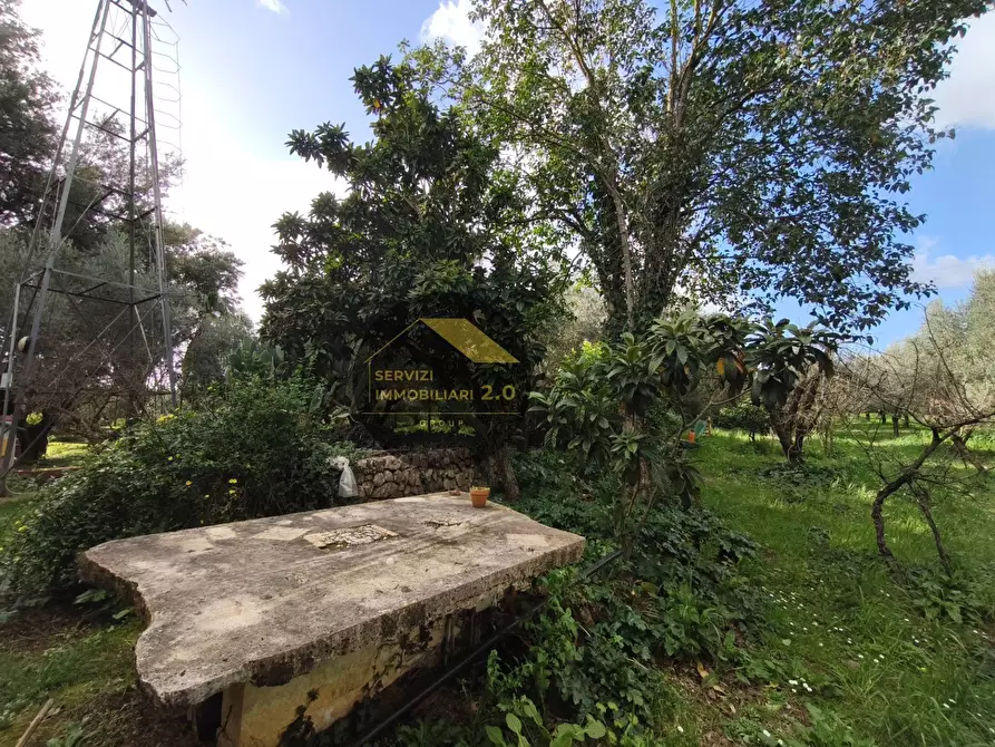 Immagine 34 di Villa in vendita  in via corana 84 a Cisterna Di Latina