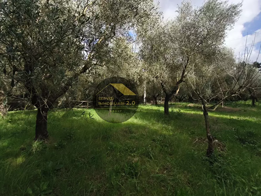 Immagine 46 di Villa in vendita  in via corana 84 a Cisterna Di Latina