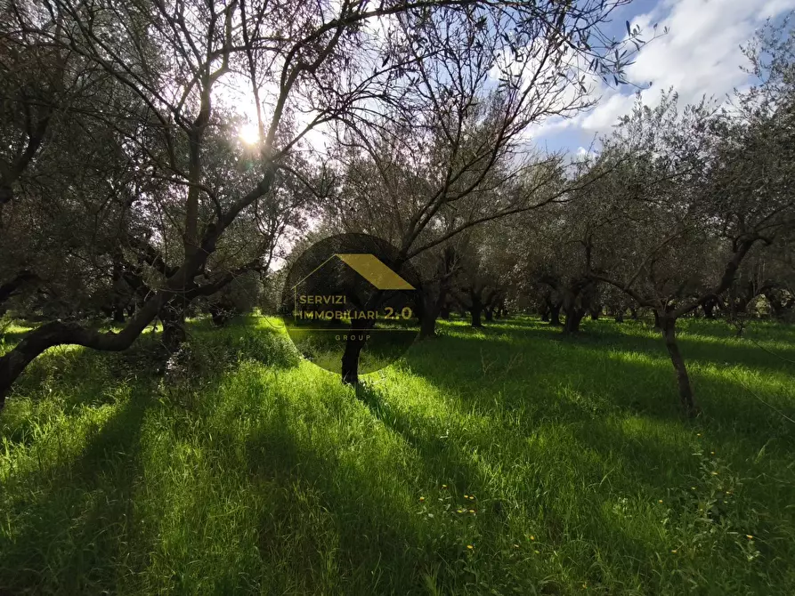 Immagine 47 di Villa in vendita  in via corana 84 a Cisterna Di Latina