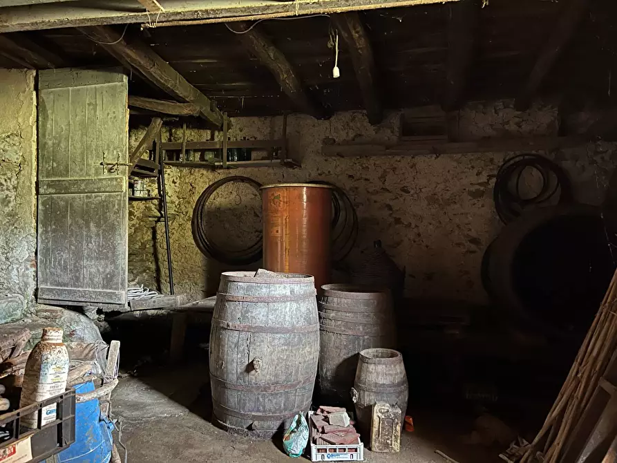 Immagine 19 di Rustico / casale in vendita  a Vezzi Portio