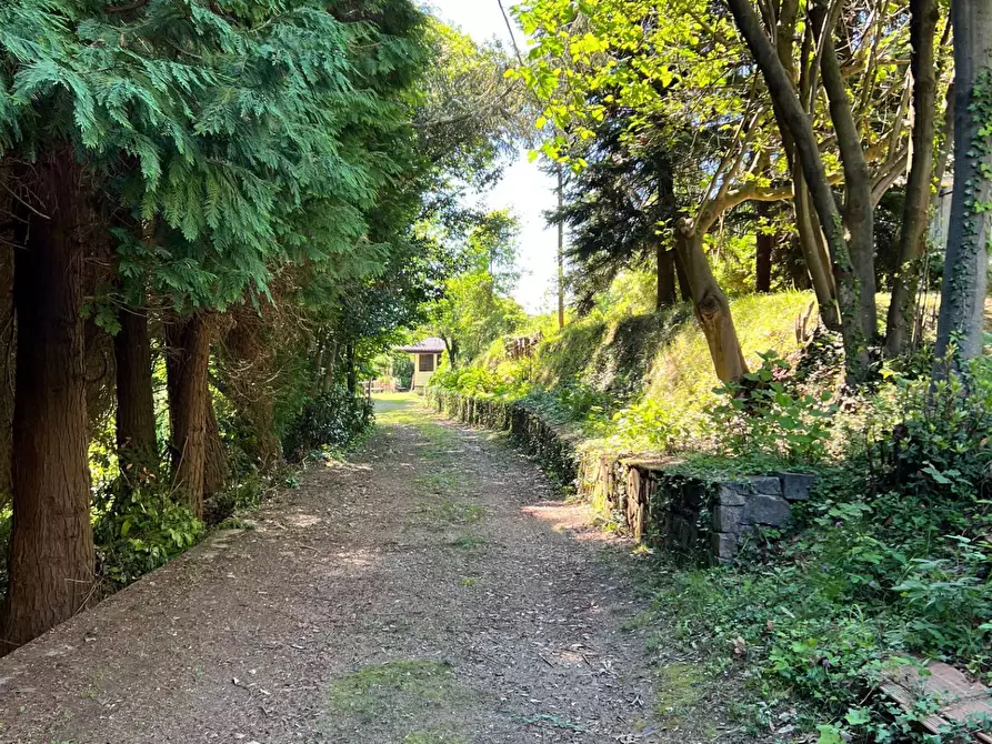 Immagine 18 di Casa indipendente in vendita  a Savona