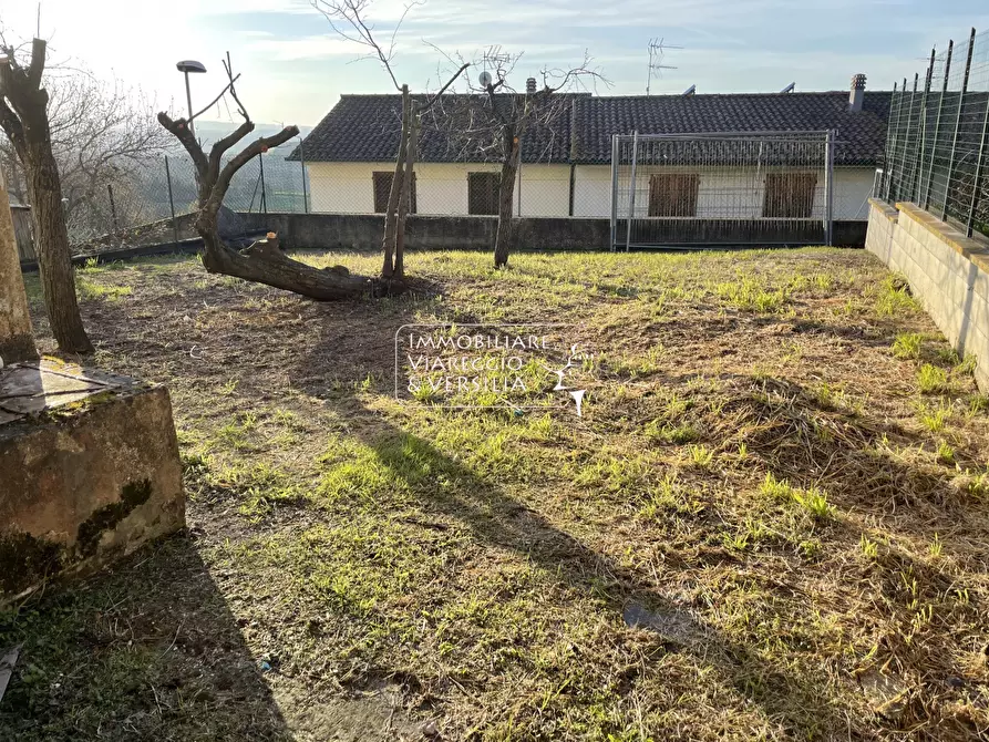 Immagine 6 di Appartamento in vendita  in Via Piana 40 a Palaia