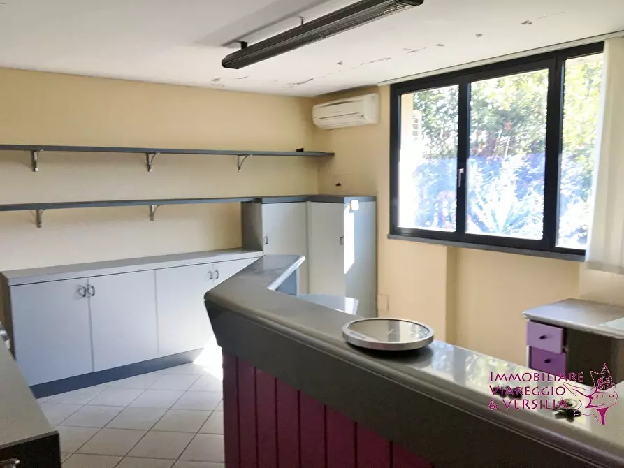 Immagine 7 di Magazzino in affitto  a Camaiore