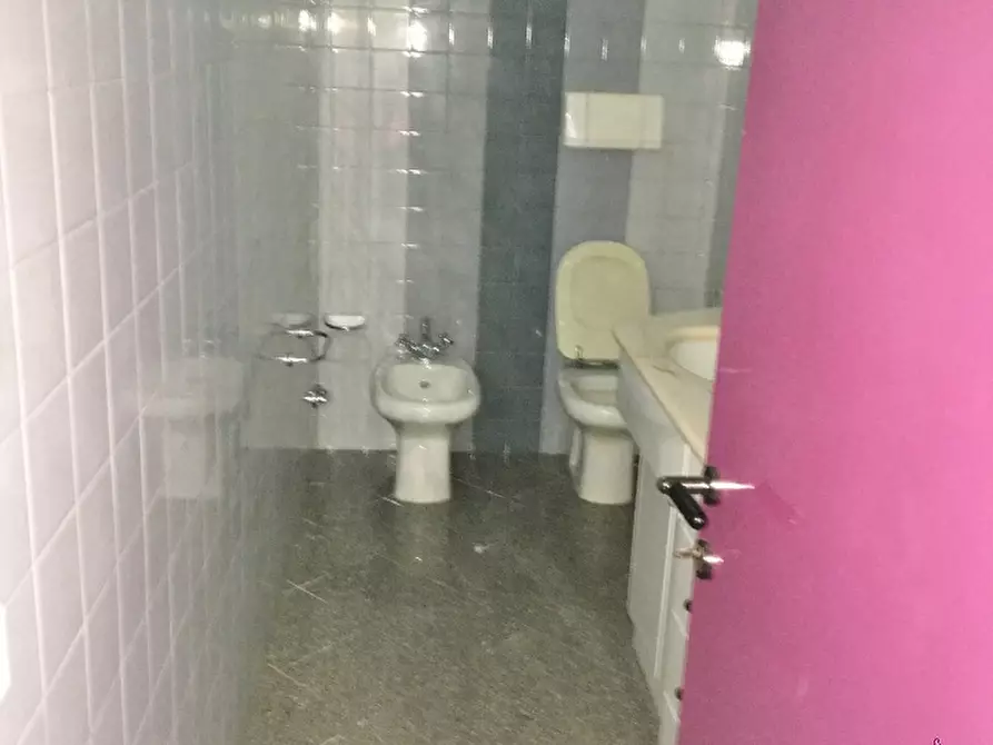 Immagine 11 di Magazzino in affitto  a Camaiore