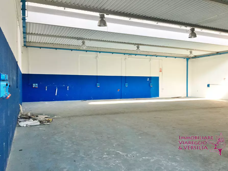 Immagine 4 di Magazzino in affitto  a Camaiore