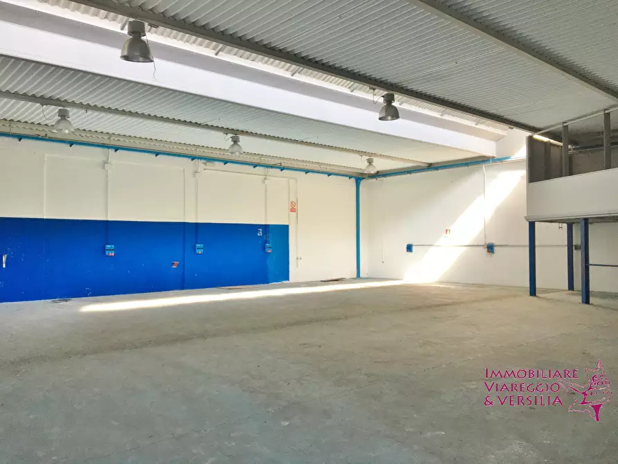 Immagine 1 di Magazzino in affitto  a Camaiore