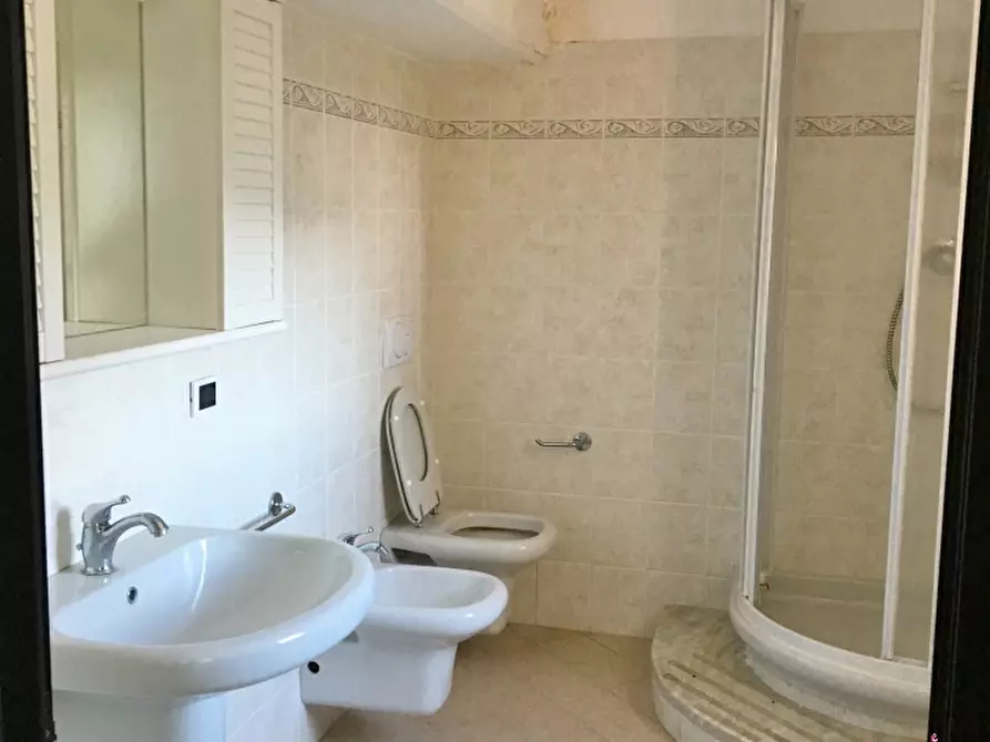 Immagine 9 di Magazzino in affitto  a Camaiore