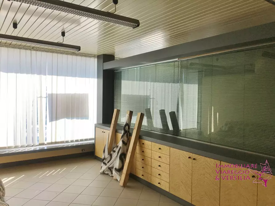 Immagine 17 di Magazzino in affitto  a Camaiore