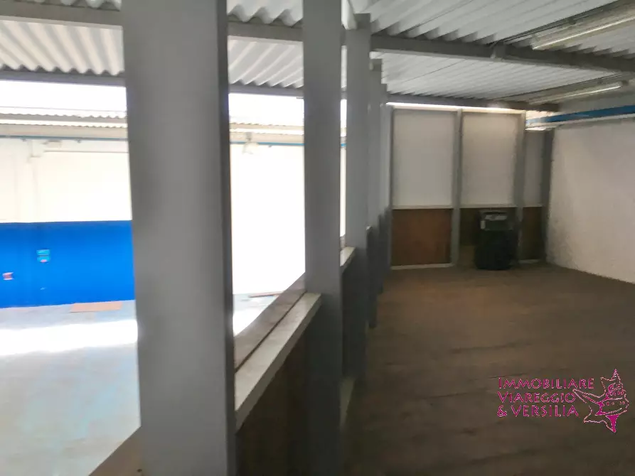 Immagine 19 di Magazzino in affitto  a Camaiore