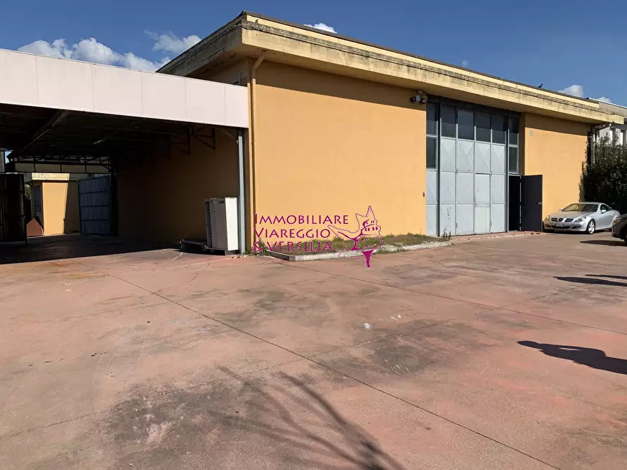 Immagine 3 di Magazzino in vendita  in via dei falegnami a Camaiore