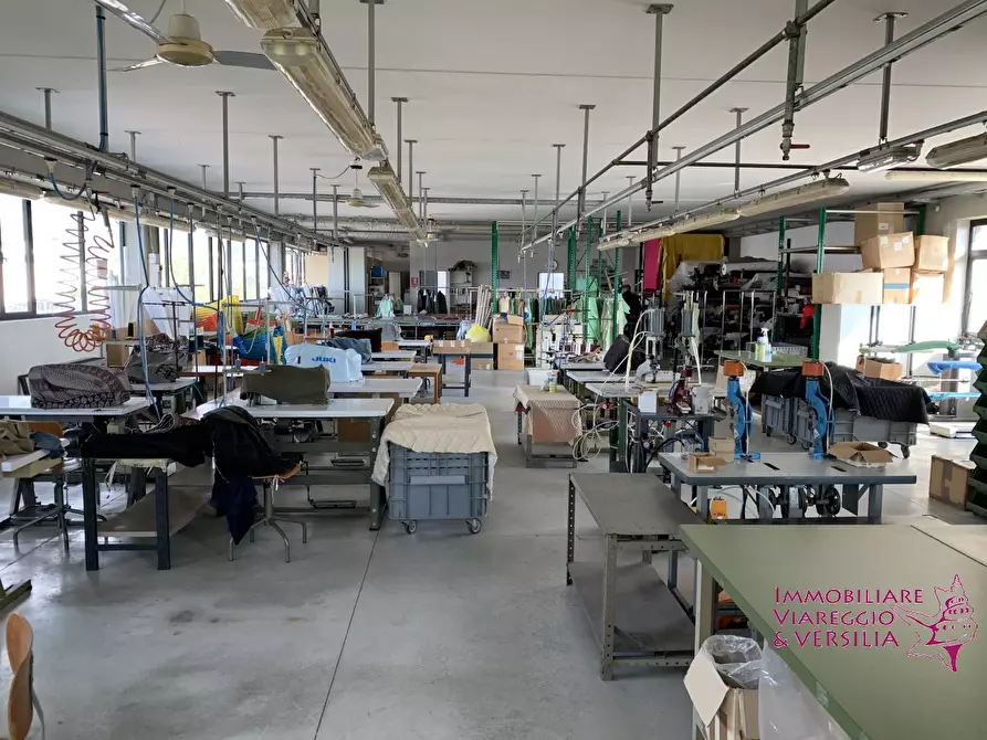 Immagine 2 di Magazzino in vendita  in via dell'oleificio 5 a Massarosa