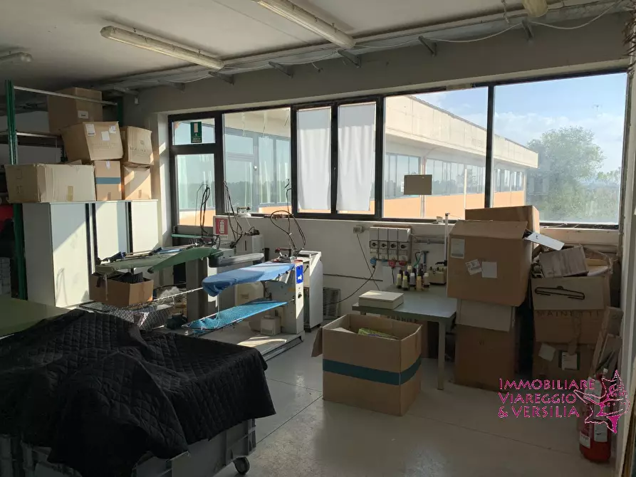Immagine 3 di Magazzino in vendita  in via dell'oleificio 5 a Massarosa