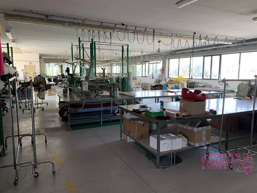 Immagine 5 di Magazzino in vendita  in via dell'oleificio 5 a Massarosa
