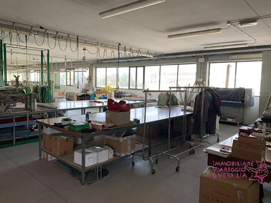 Immagine 6 di Magazzino in vendita  in via dell'oleificio 5 a Massarosa