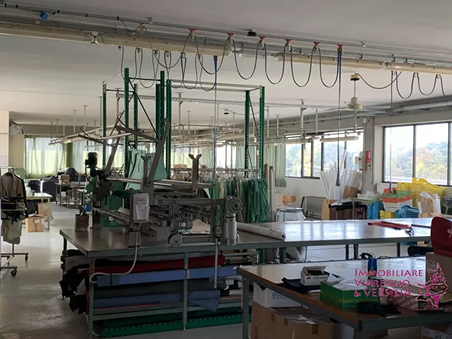 Immagine 7 di Magazzino in vendita  in via dell'oleificio 5 a Massarosa