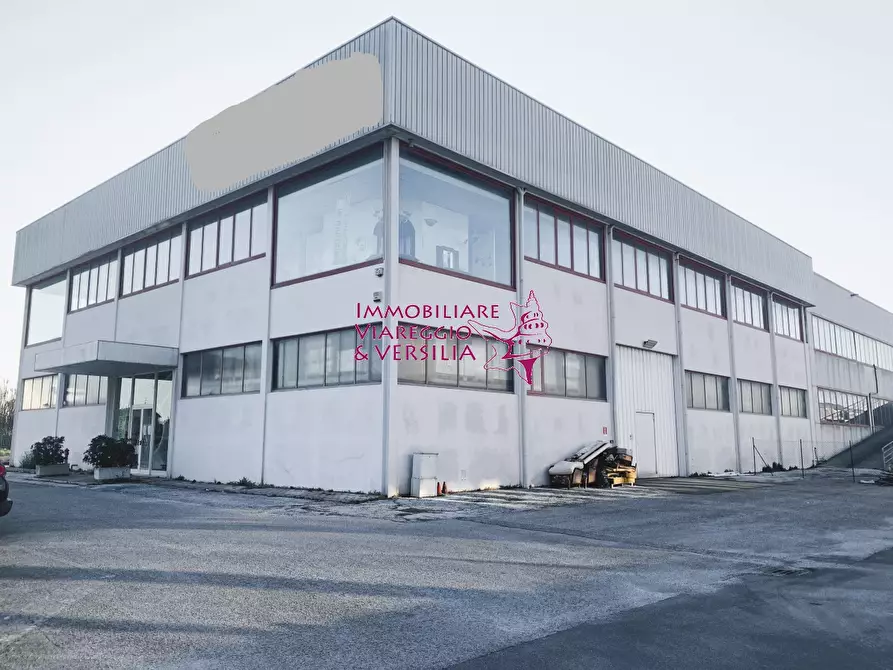 Immagine 4 di Magazzino in vendita  a Camaiore