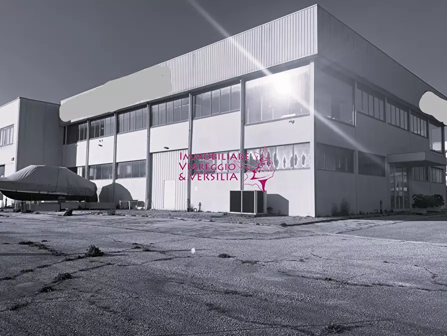 Immagine 3 di Magazzino in vendita  a Camaiore