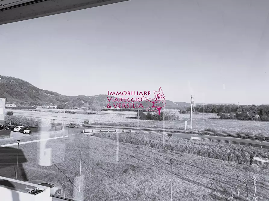 Immagine 6 di Magazzino in vendita  a Camaiore