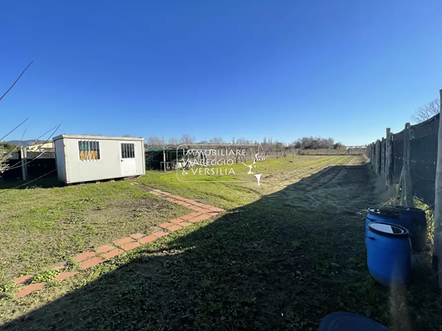 Immagine 4 di Terreno agricolo in vendita  a Viareggio