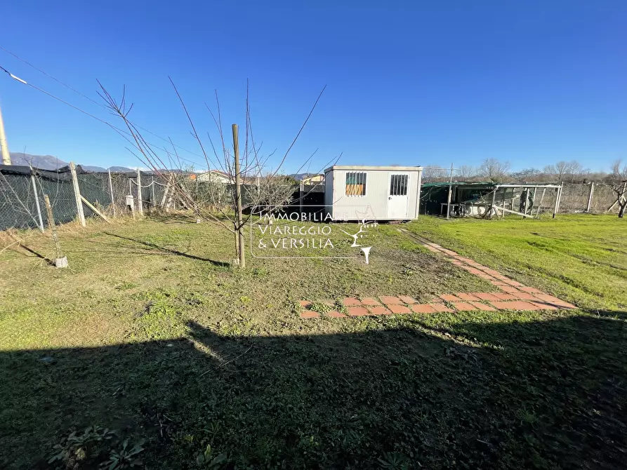 Immagine 5 di Terreno agricolo in vendita  a Viareggio