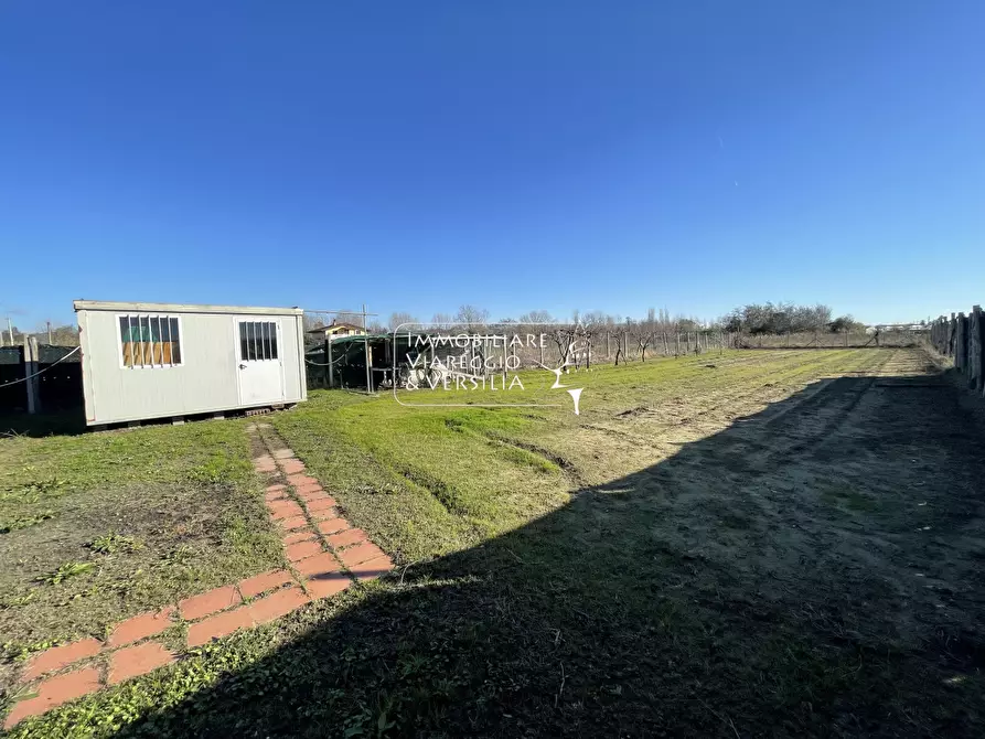 Immagine 6 di Terreno agricolo in vendita  a Viareggio