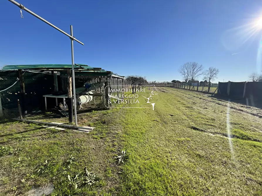 Immagine 7 di Terreno agricolo in vendita  a Viareggio