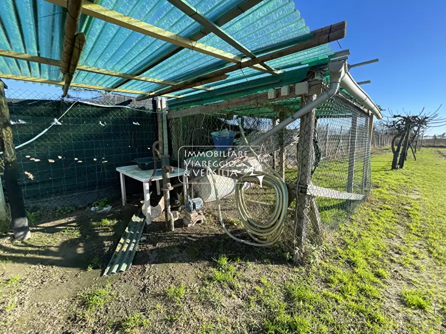 Immagine 8 di Terreno agricolo in vendita  a Viareggio