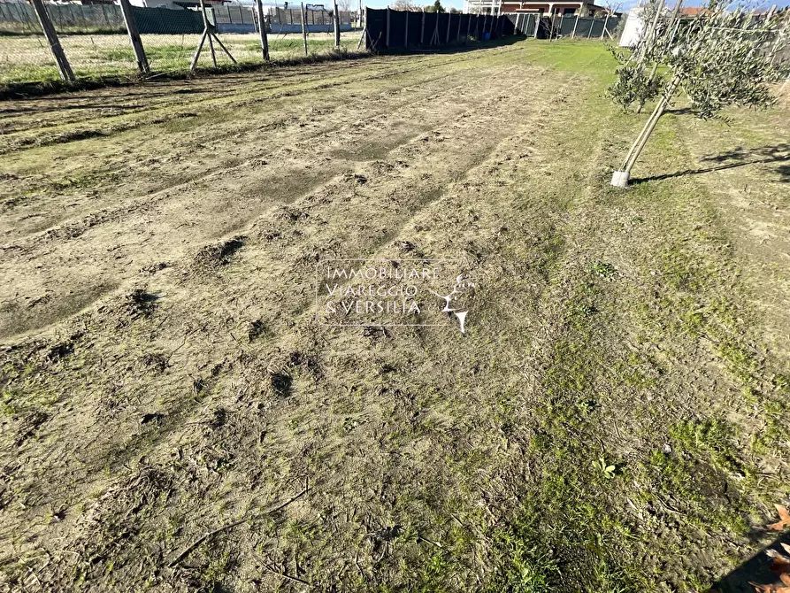 Immagine 9 di Terreno agricolo in vendita  a Viareggio