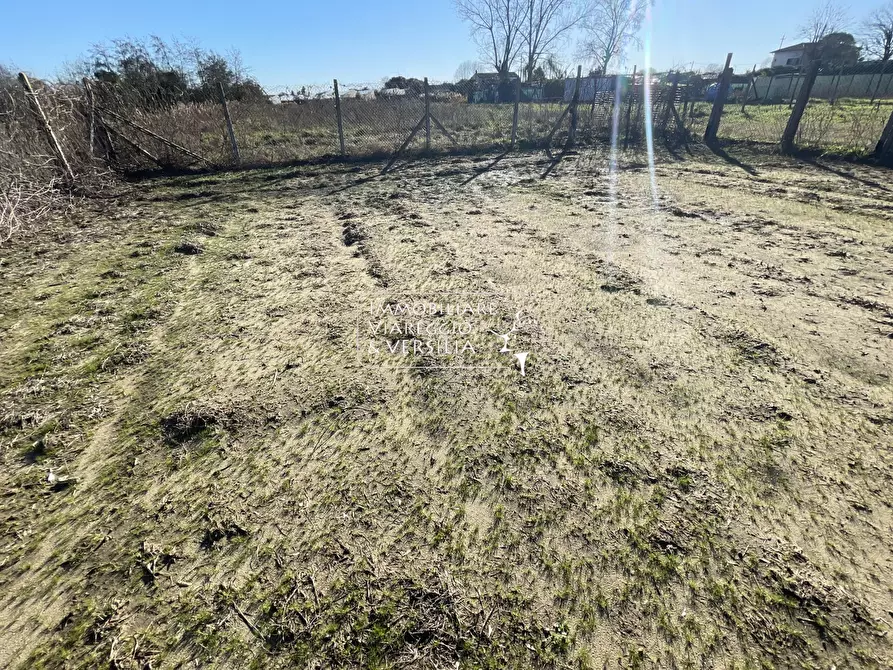 Immagine 10 di Terreno agricolo in vendita  a Viareggio