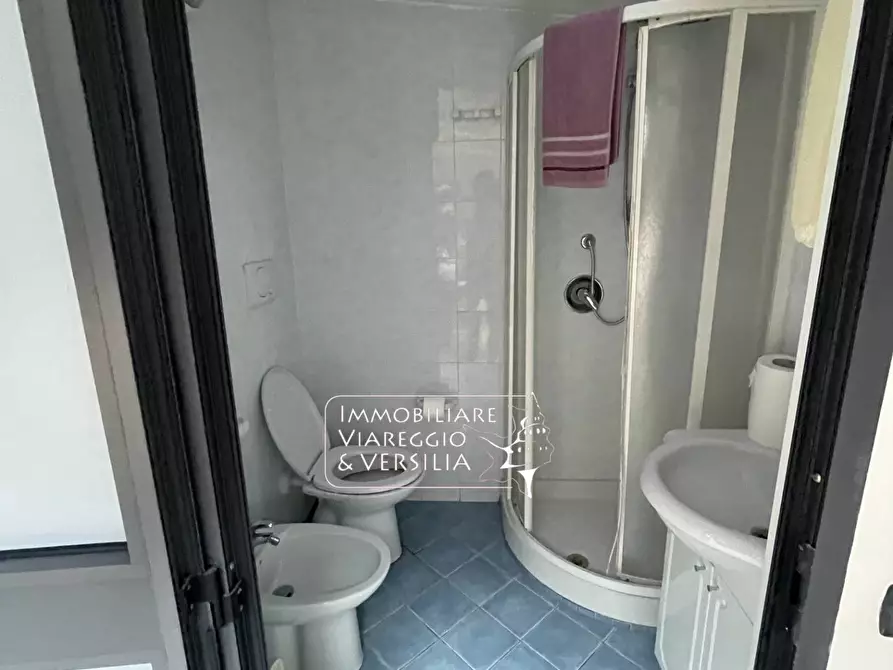 Immagine 9 di Magazzino in affitto  in via dei Peecchi a Viareggio