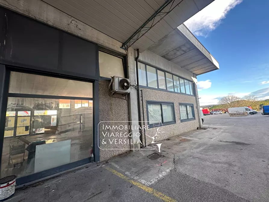Immagine 3 di Magazzino in vendita  in via dei Ghivizzani a Camaiore