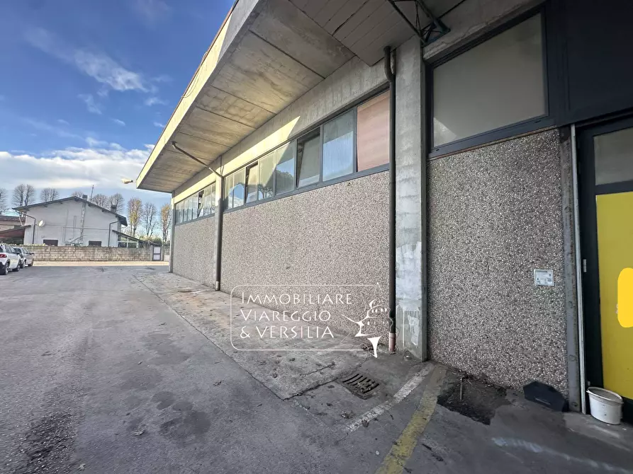 Immagine 5 di Magazzino in vendita  in via dei Ghivizzani a Camaiore