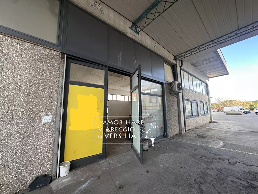 Immagine 6 di Magazzino in vendita  in via dei Ghivizzani a Camaiore