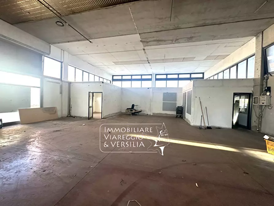 Immagine 7 di Magazzino in vendita  in via dei Ghivizzani a Camaiore