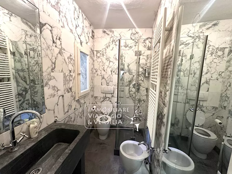 Immagine 33 di Appartamento in vendita  in via Stagio Stagi 30 a Pietrasanta