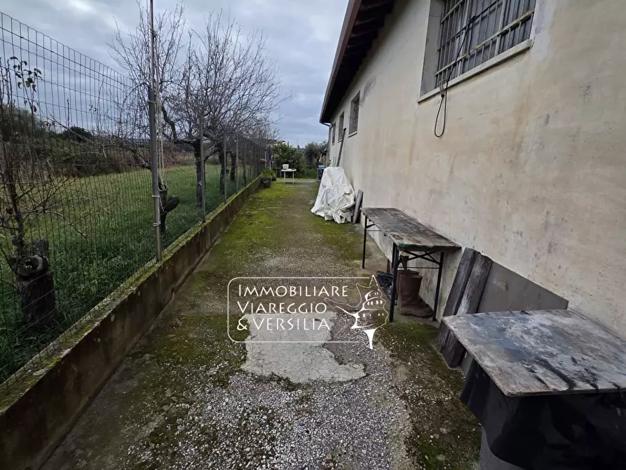 Immagine 5 di Magazzino in vendita  in via Sarzanese a Massarosa