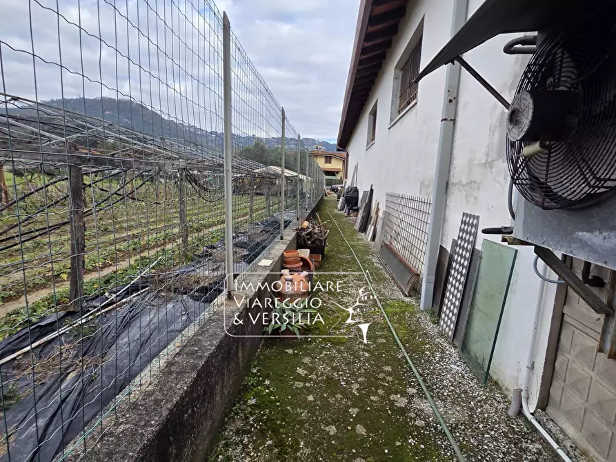 Immagine 7 di Magazzino in vendita  in via Sarzanese a Massarosa