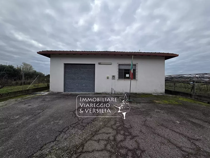 Immagine 4 di Magazzino in vendita  in via Sarzanese a Massarosa