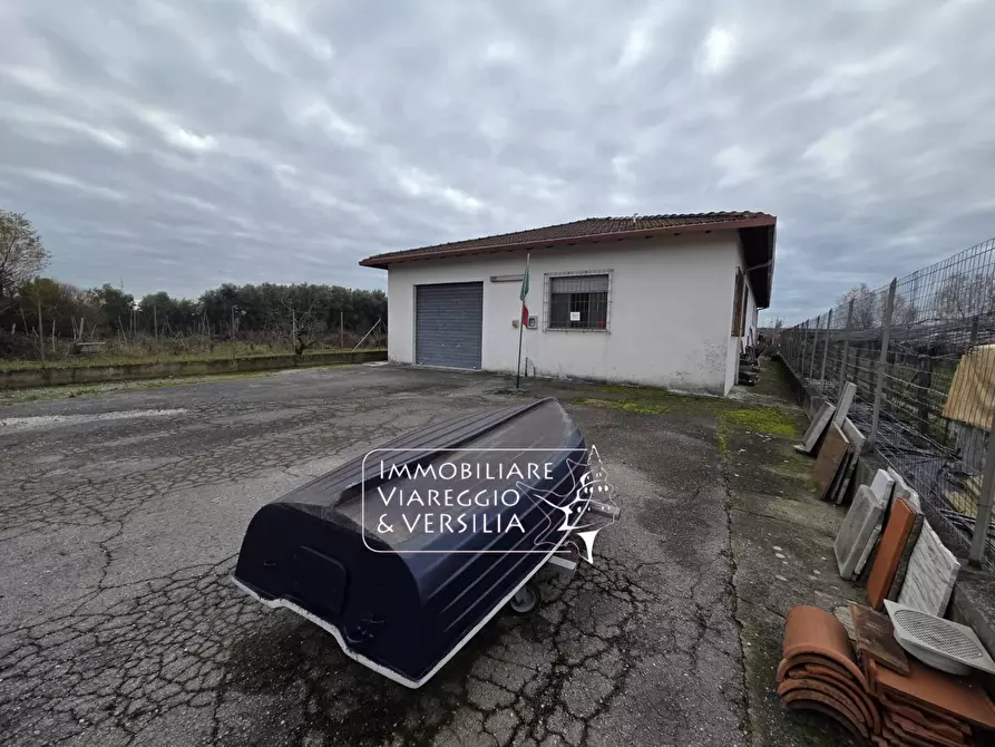 Immagine 2 di Magazzino in vendita  in via Sarzanese a Massarosa