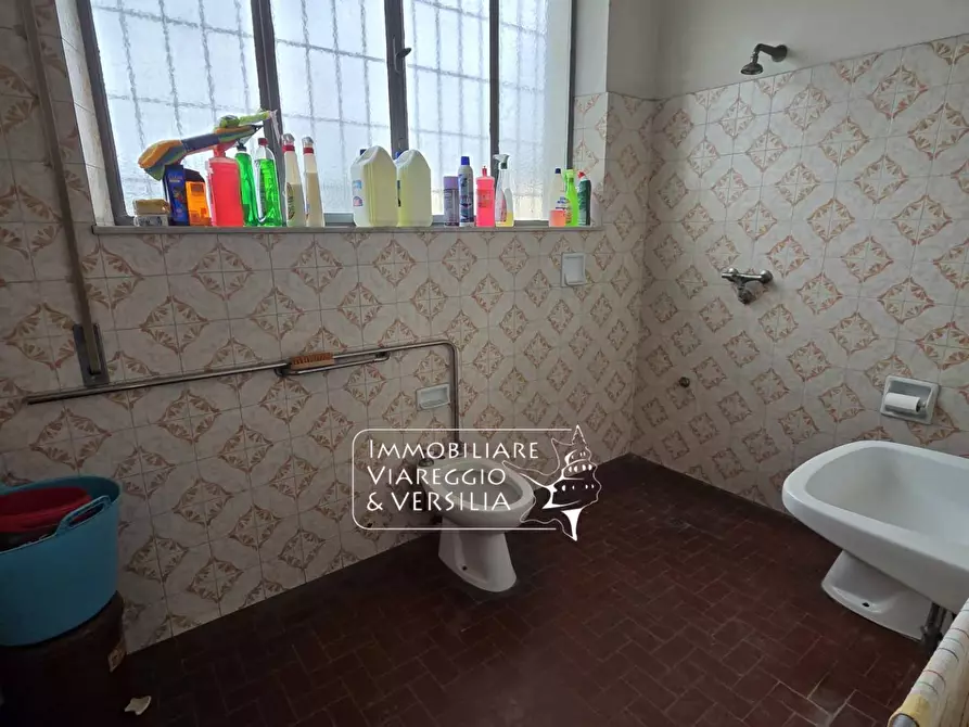 Immagine 8 di Magazzino in vendita  in via Sarzanese a Massarosa