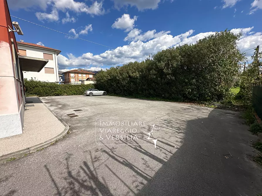 Immagine 5 di Capannone industriale in affitto  in via Sarzanese a Camaiore