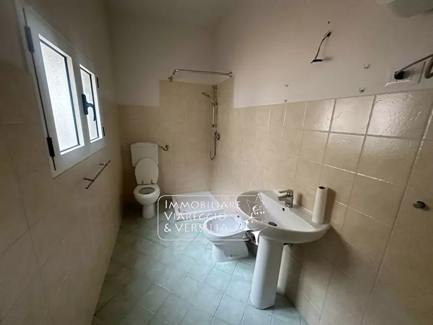 Immagine 16 di Capannone industriale in affitto  in via Garibaldi 150 a Viareggio