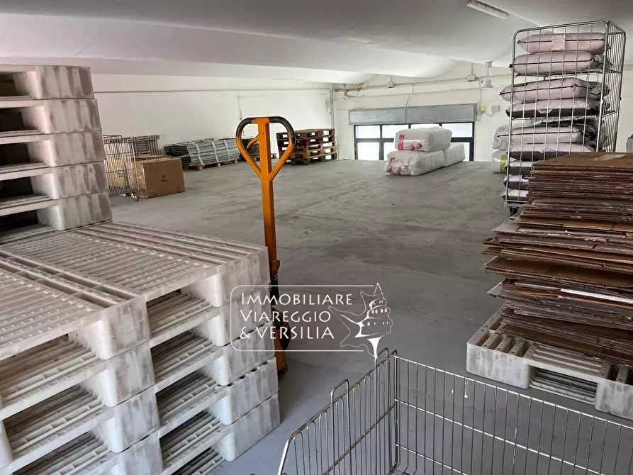 Immagine 14 di Magazzino in affitto  in via dei Peecchi a Viareggio