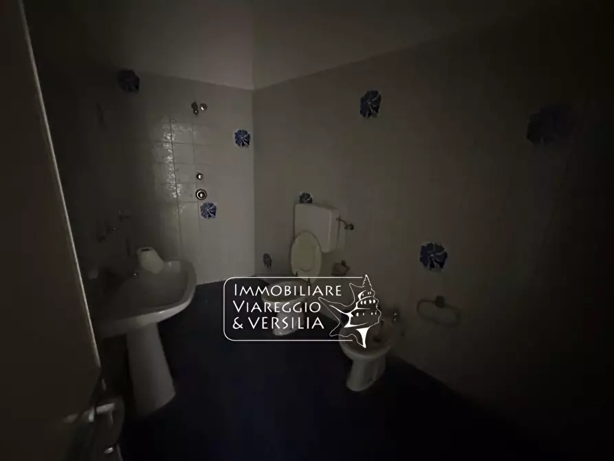 Immagine 12 di Magazzino in affitto  in via Virgilio 200 a Viareggio