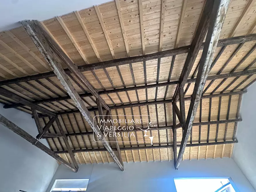 Immagine 5 di Magazzino in affitto  in Virgilio 20 a Viareggio