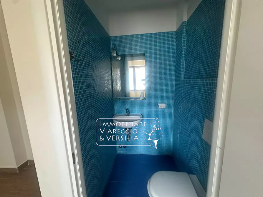 Immagine 20 di Capannone industriale in vendita  in Via S. Francesco 70 a Viareggio