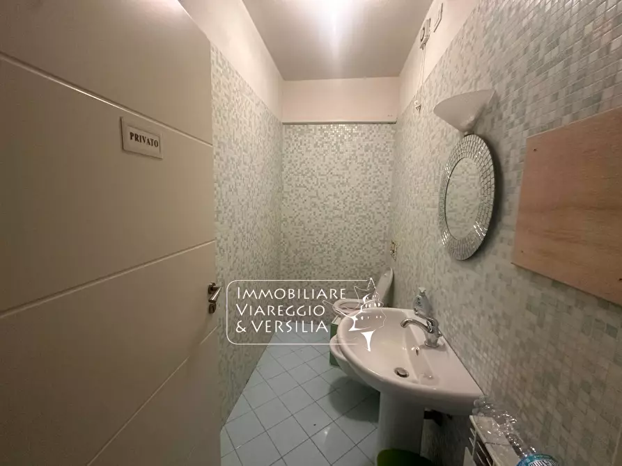 Immagine 27 di Capannone industriale in vendita  in Via S. Francesco 70 a Viareggio