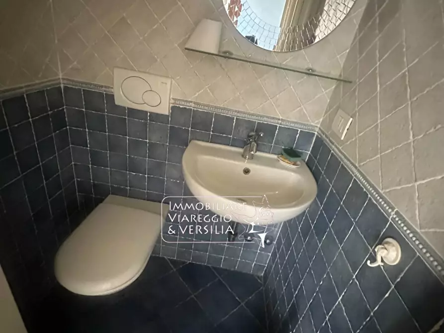 Immagine 31 di Capannone industriale in vendita  in Via S. Francesco 70 a Viareggio