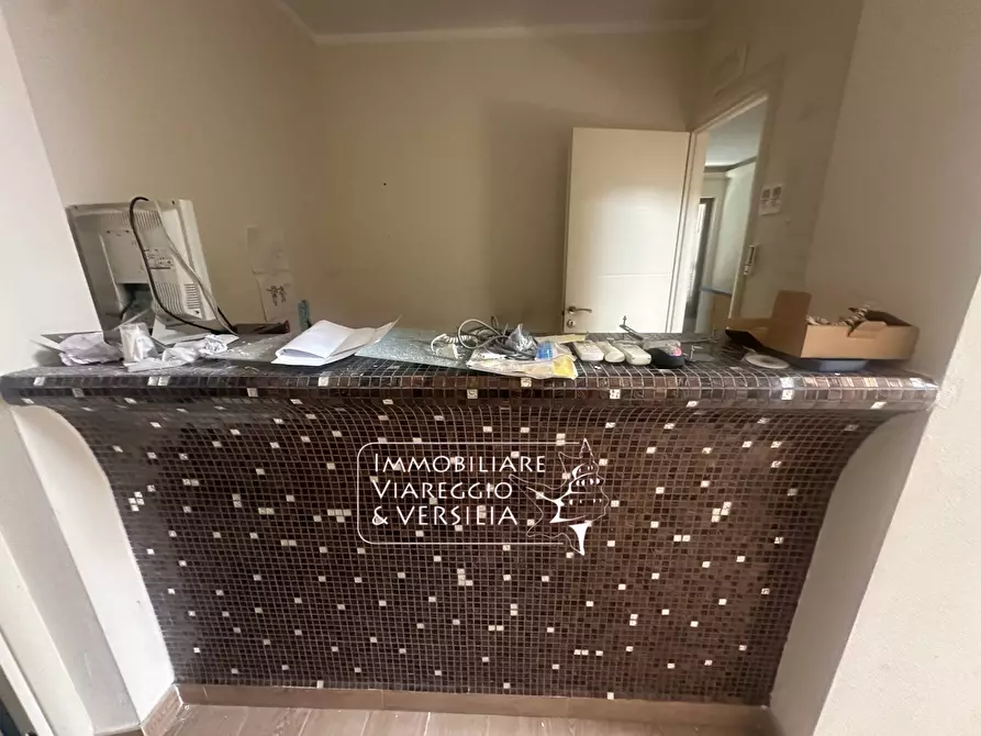 Immagine 32 di Capannone industriale in vendita  in Via S. Francesco 70 a Viareggio